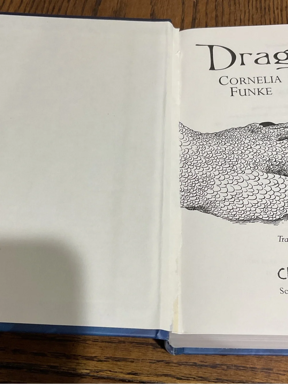 Scholastic two fantasy